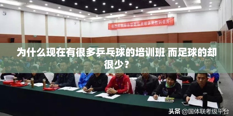 猫拉稀了吃什么止泻药好得快