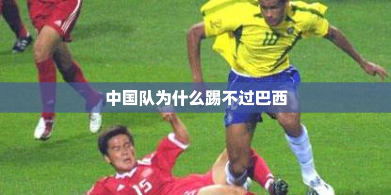 天天动听怎么批量歌词