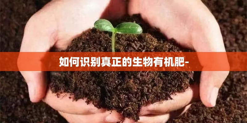 污水提升泵的流量扬程如何计算-