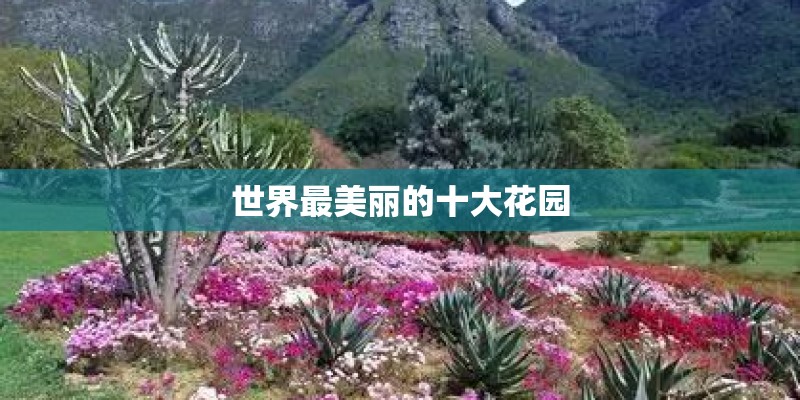 世界最美丽的十大花园