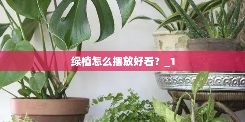 绿植怎么摆放好看？_1