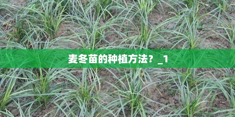 换倒车雷达但是探头大小不一样怎么办