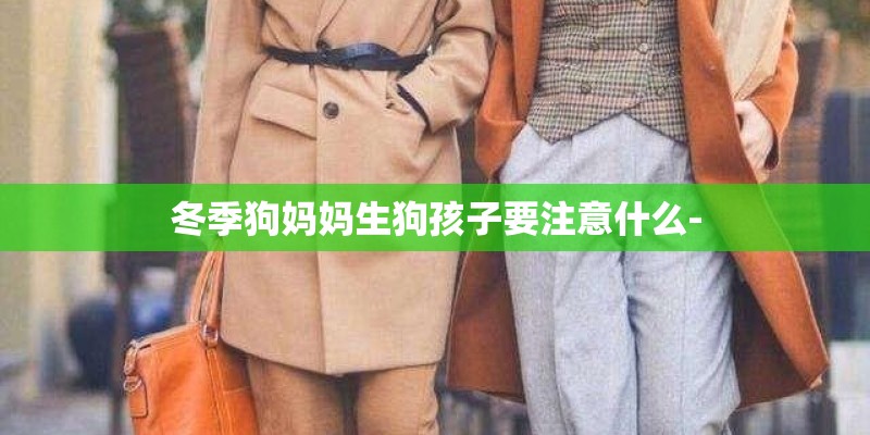 冬季狗妈妈生狗孩子要注意什么-