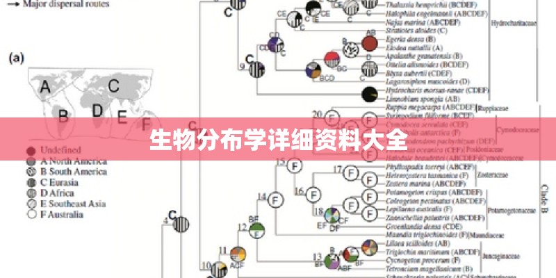 生物分布学详细资料大全