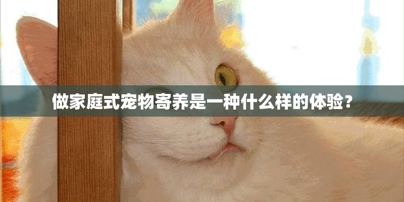 做家庭式宠物寄养是一种什么样的体验？