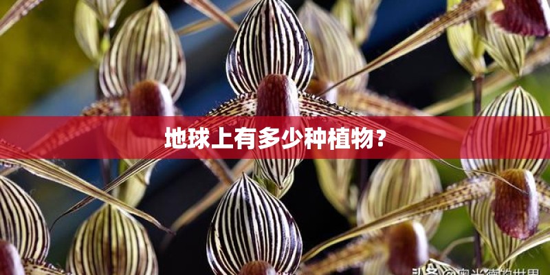 地球上有多少种植物？