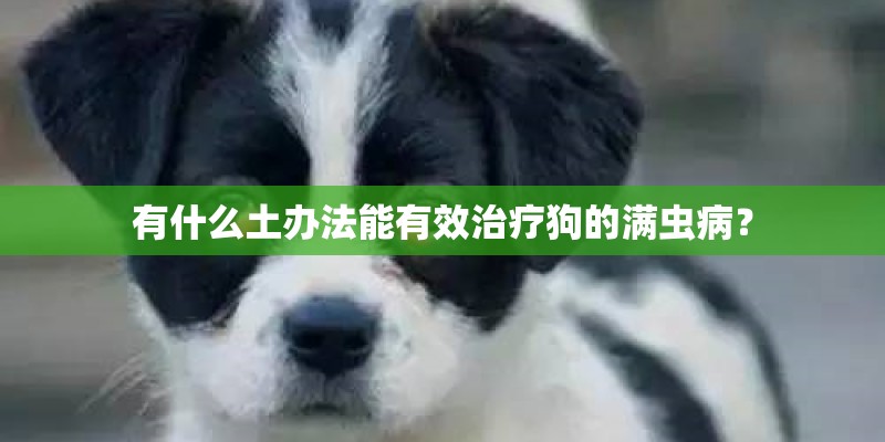 有什么土办法能有效治疗狗的满虫病？
