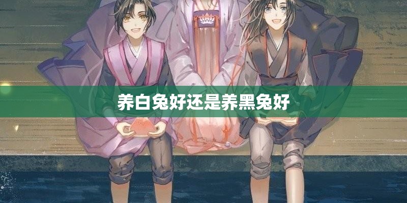 养白兔好还是养黑兔好