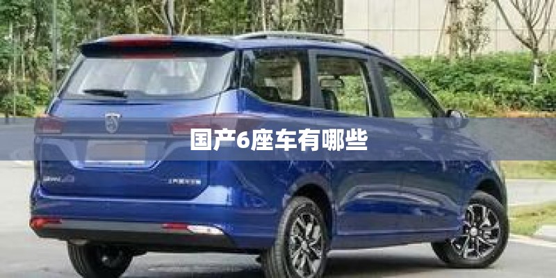 国产6座车有哪些
