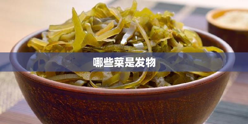 哪些菜是发物