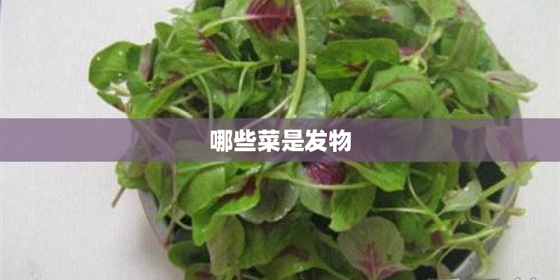 哪些菜是发物