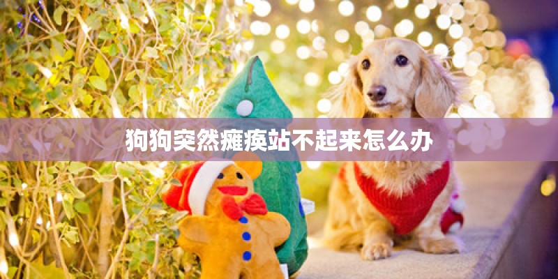狗狗突然瘫痪站不起来怎么办