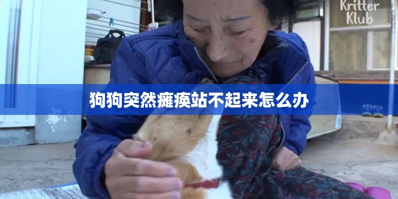 狗狗突然瘫痪站不起来怎么办