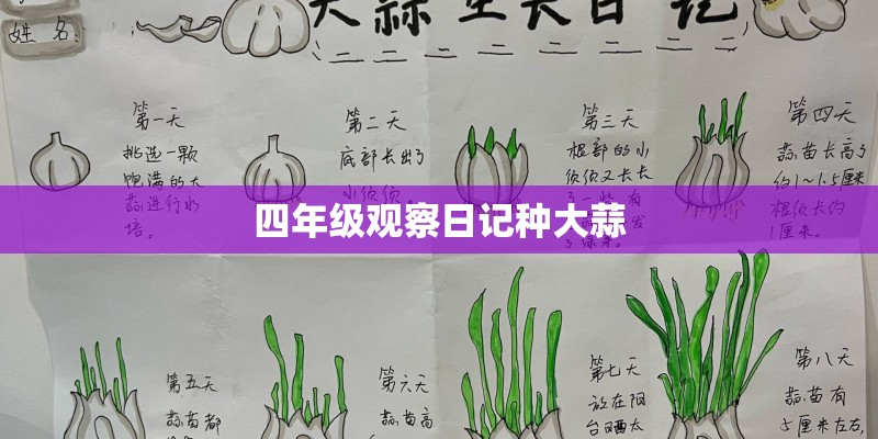 四年级观察日记种大蒜