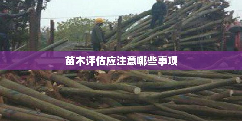 求助！我家小泰迪今天打完第一针疫苗 回来以后总拉稀 都是黄水 拉完了它还总想喝水吃东西 怎么办呀？