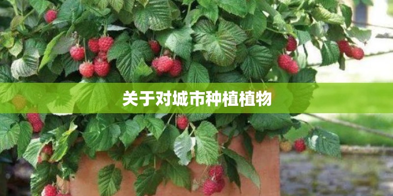 关于对城市种植植物