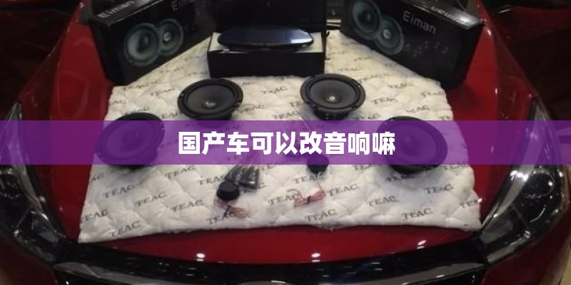 国产车可以改音响嘛