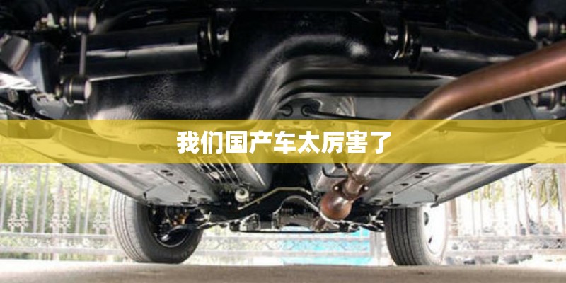 我们国产车太厉害了