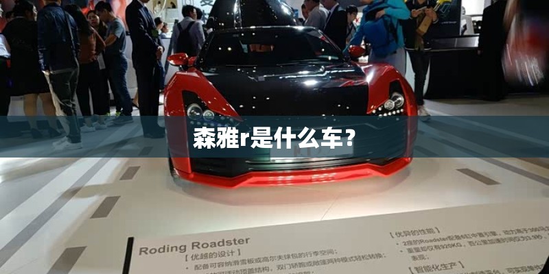 森雅r是什么车？