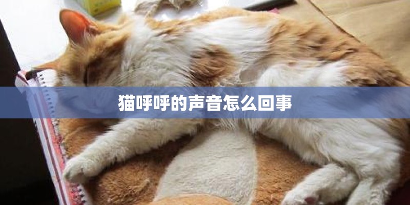 怎样分辨是否纯种沙皮狗？