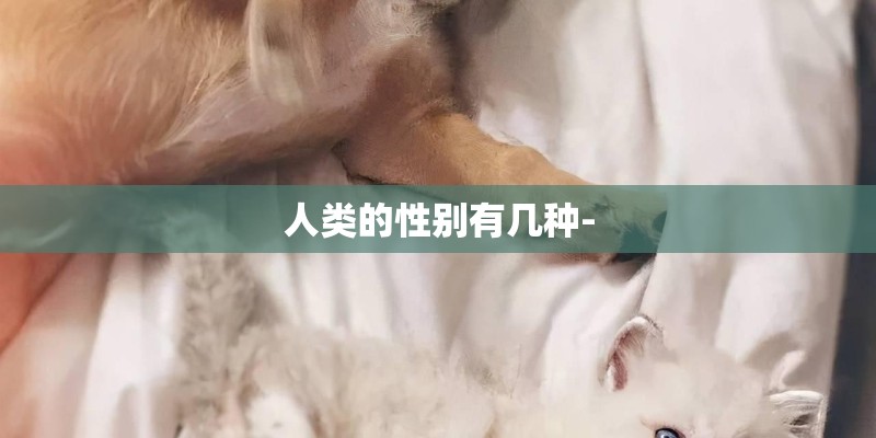 人类的性别有几种-