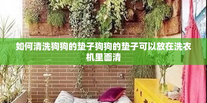 如何清洗狗狗的垫子狗狗的垫子可以放在洗衣机里面清