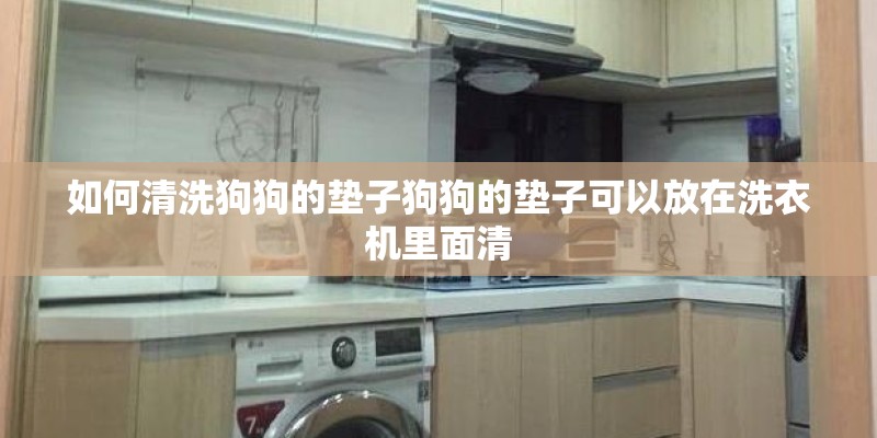 如何清洗狗狗的垫子狗狗的垫子可以放在洗衣机里面清