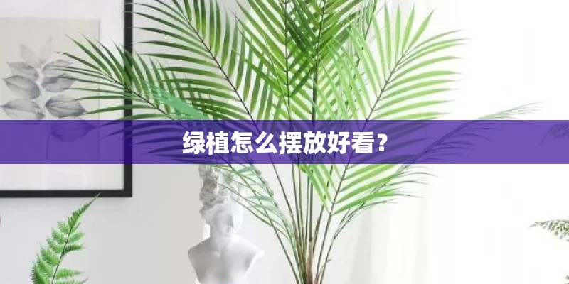 绿植怎么摆放好看？