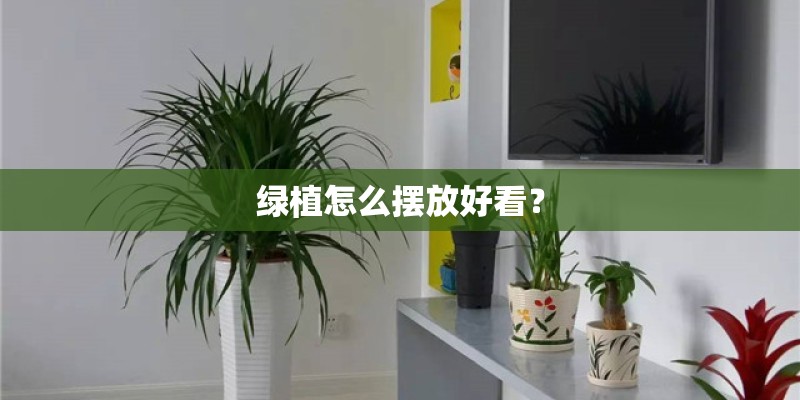 绿植怎么摆放好看？