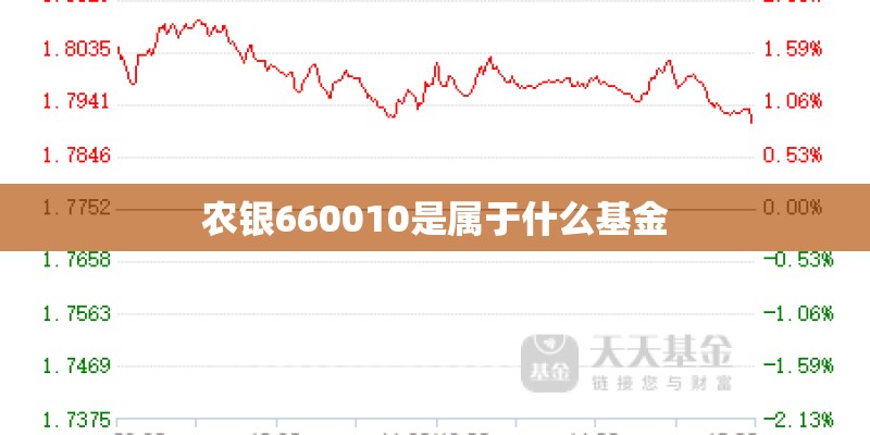 农银660010是属于什么基金