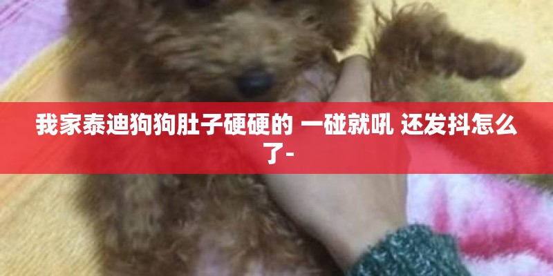 我家泰迪狗狗肚子硬硬的 一碰就吼 还发抖怎么了-