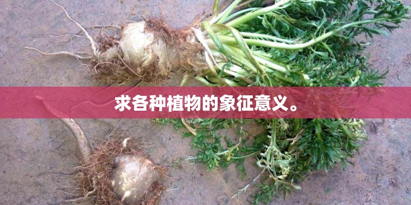 求各种植物的象征意义。