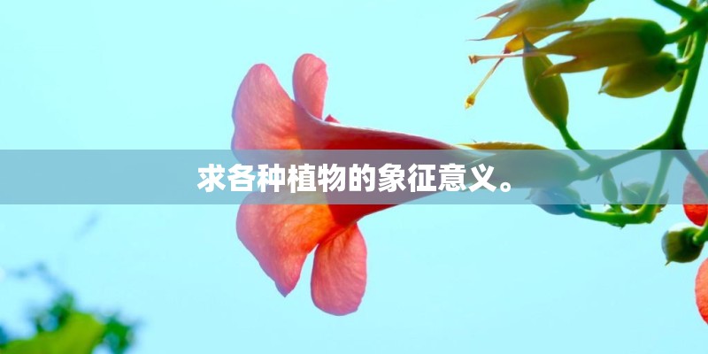 求各种植物的象征意义。