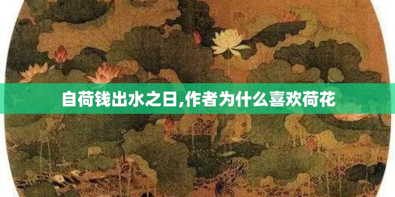 自荷钱出水之日,作者为什么喜欢荷花