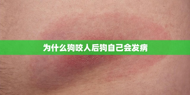 为什么狗咬人后狗自己会发病