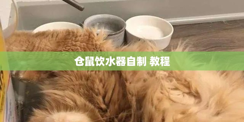 仓鼠饮水器自制 教程