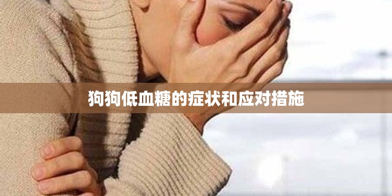 狗狗低血糖的症状和应对措施