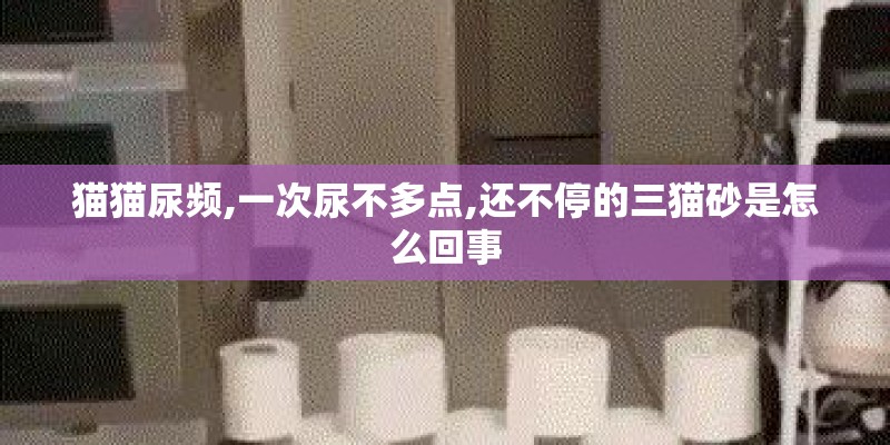 猫猫尿频,一次尿不多点,还不停的三猫砂是怎么回事