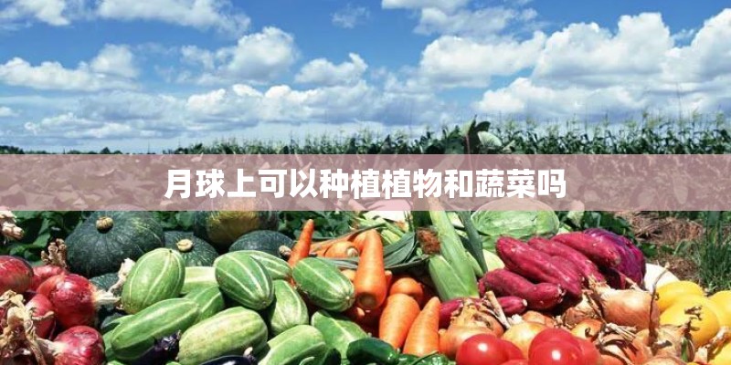 月球上可以种植植物和蔬菜吗