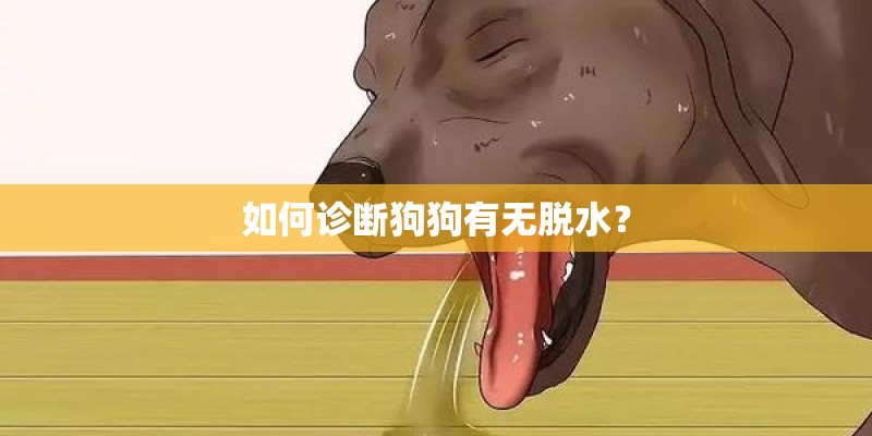 如何诊断狗狗有无脱水？