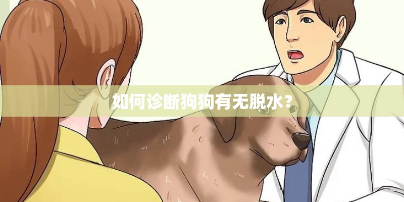 如何诊断狗狗有无脱水？