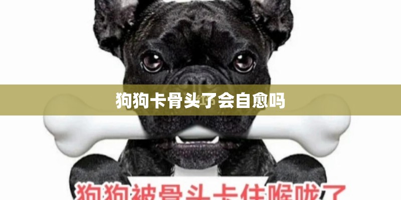 狗狗卡骨头了会自愈吗