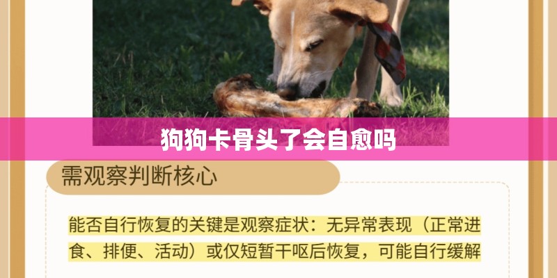 狗狗卡骨头了会自愈吗