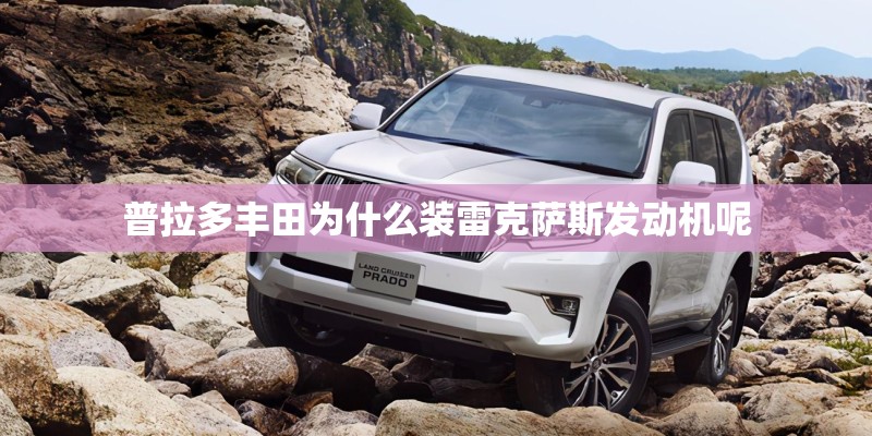 沙参种植方法