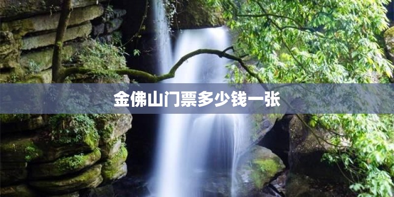 金佛山门票多少钱一张