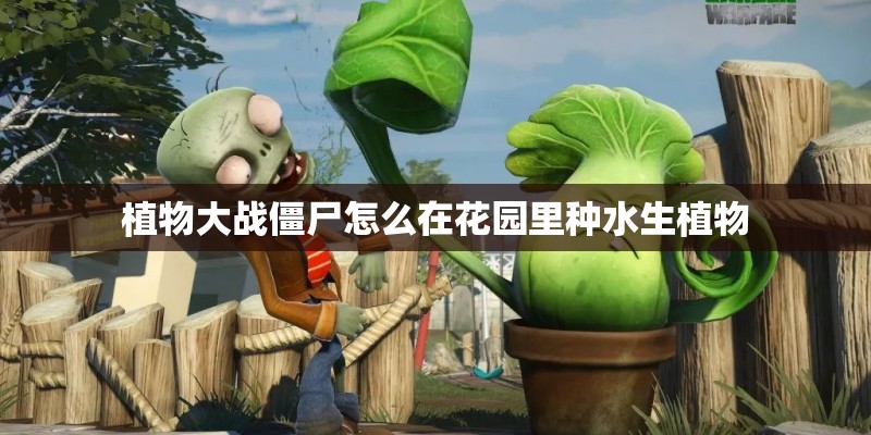 植物大战僵尸怎么在花园里种水生植物
