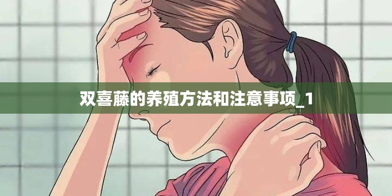 双喜藤的养殖方法和注意事项_1