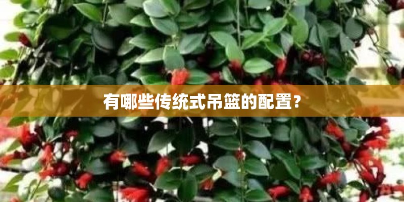 有哪些传统式吊篮的配置？