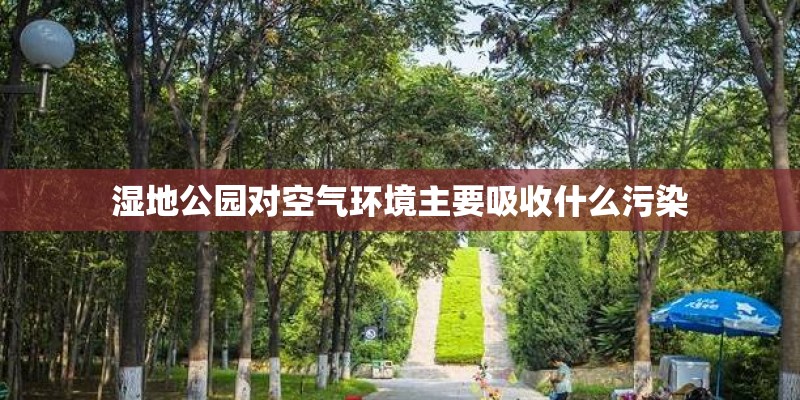 湿地公园对空气环境主要吸收什么污染
