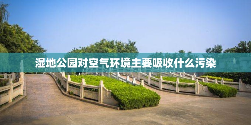 湿地公园对空气环境主要吸收什么污染
